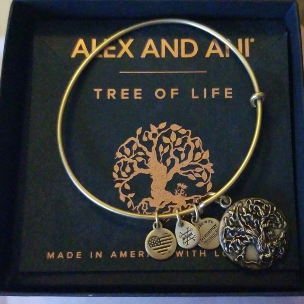 Alex and ani bracelet